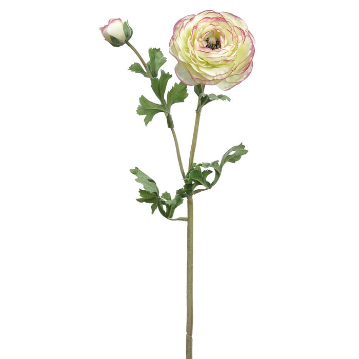 24.75" Silk Ranunculus Flower Stem -Green/Pink (pack of 12) - FSR229-GR/PK