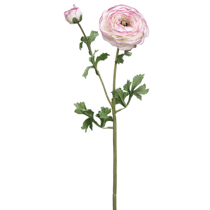 24.75" Silk Ranunculus Flower Stem -Pink (pack of 12) - FSR229-PK