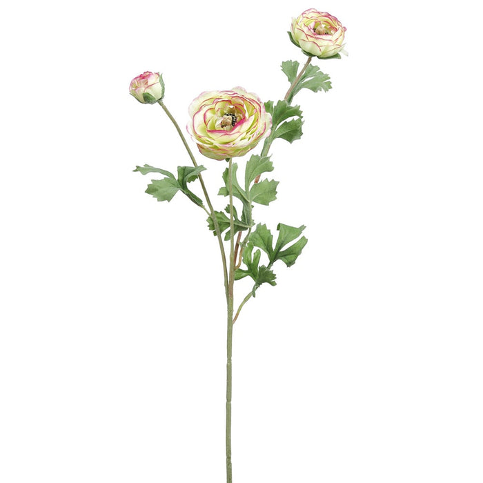 25.5" Silk Ranunculus Flower Stem -Green/Pink (pack of 12) - FSR230-GR/PK