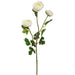25.5" Silk Ranunculus Flower Stem -White (pack of 12) - FSR254-WH