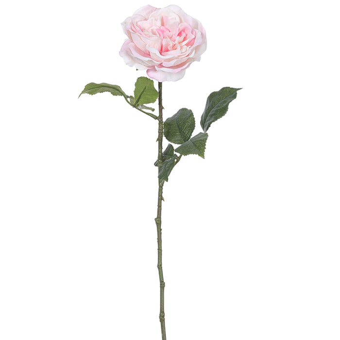 22" Garden Rose Silk Flower Stem -Blush (Pack of 12) - FSR257-BS