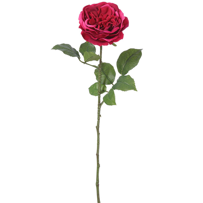 22" Garden Rose Silk Flower Stem -Fuchsia (Pack of 12) - FSR257-FU