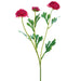 20" Ranunculus Silk Flower Stem -Red (pack of 12) - FSR262-RE