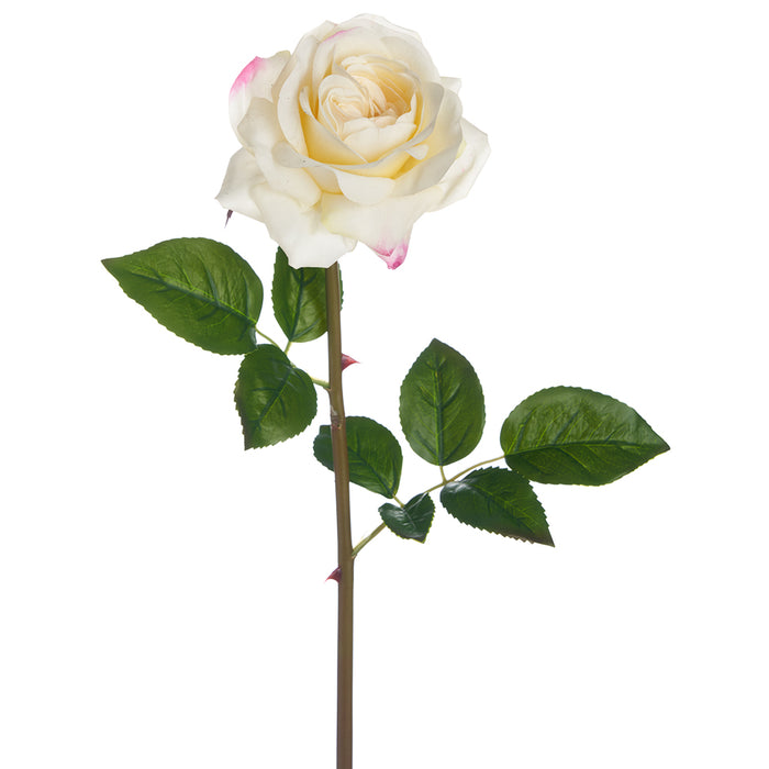 25.5" Real Touch Silk Rose Flower Stem -Cream (pack of 12) - FSR275-CR