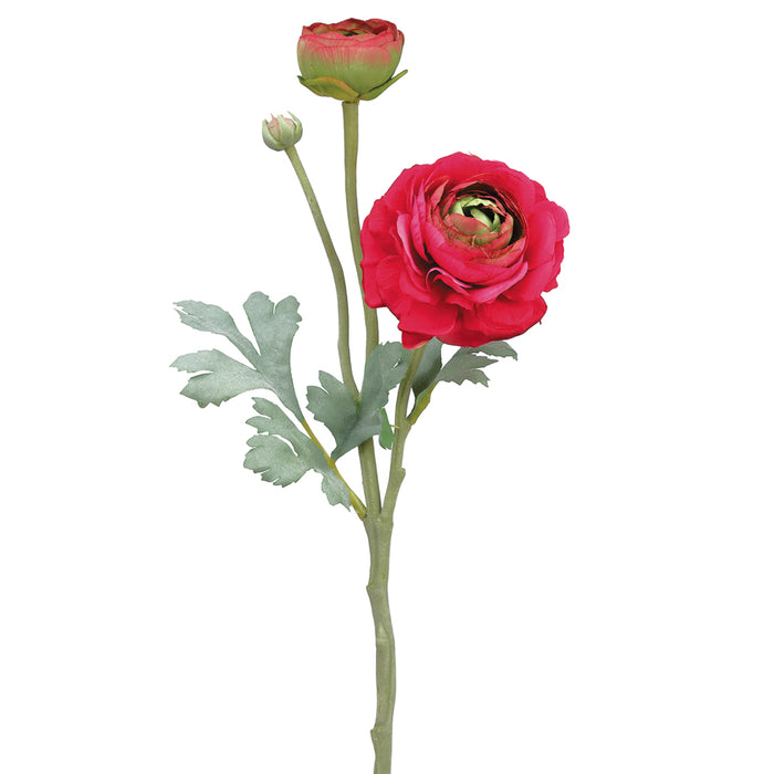 15" Ranunculus Silk Flower Stem -Beauty (pack of 12) - FSR282-BT