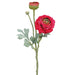 15" Ranunculus Silk Flower Stem -Beauty (pack of 12) - FSR282-BT