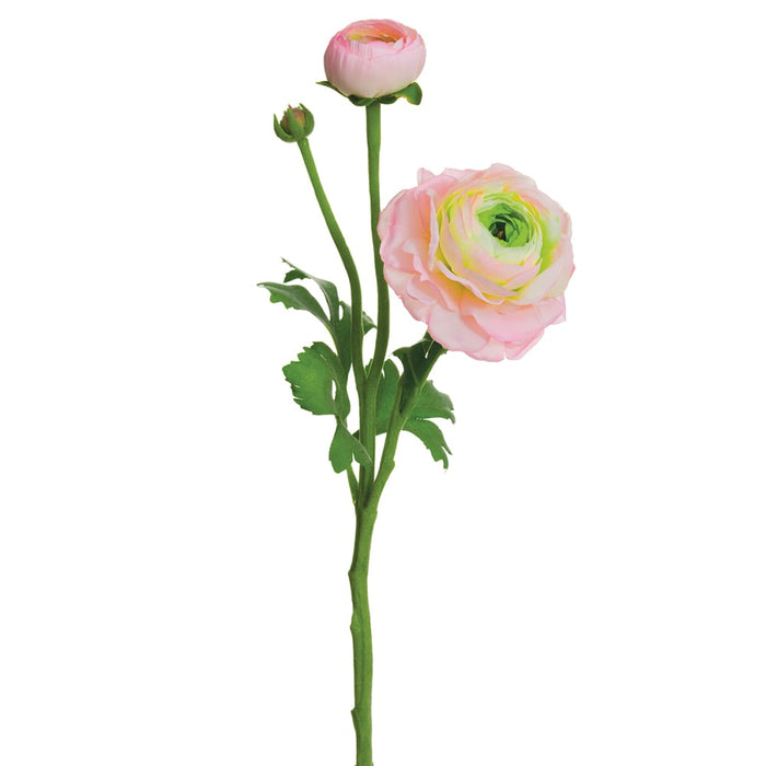 15" Ranunculus Silk Flower Stem -Pink/Green (pack of 12) - FSR282-PK/GR