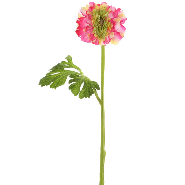 17.5" Silk Ranunculus Flower Stem -Fuchsia/Green (pack of 12) - FSR298-FU/GR