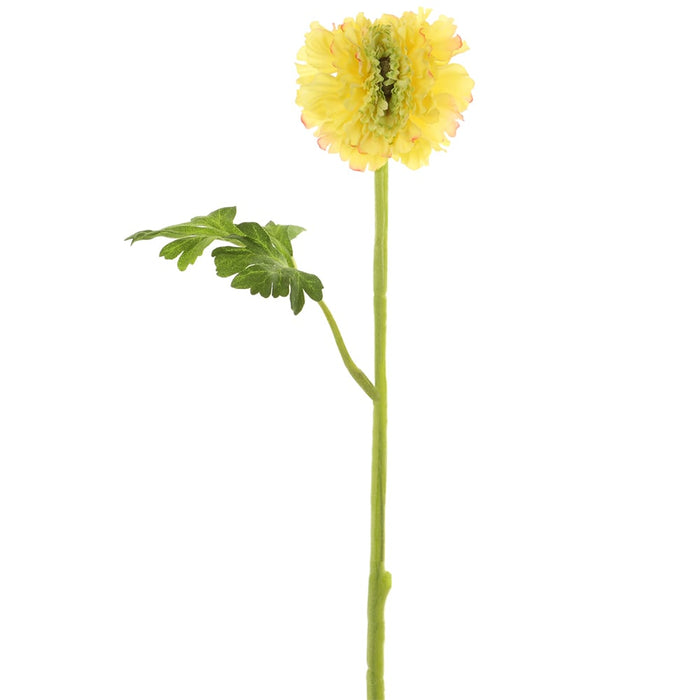 17.5" Silk Ranunculus Flower Stem -Yellow/Green (pack of 12) - FSR298-YE/GR