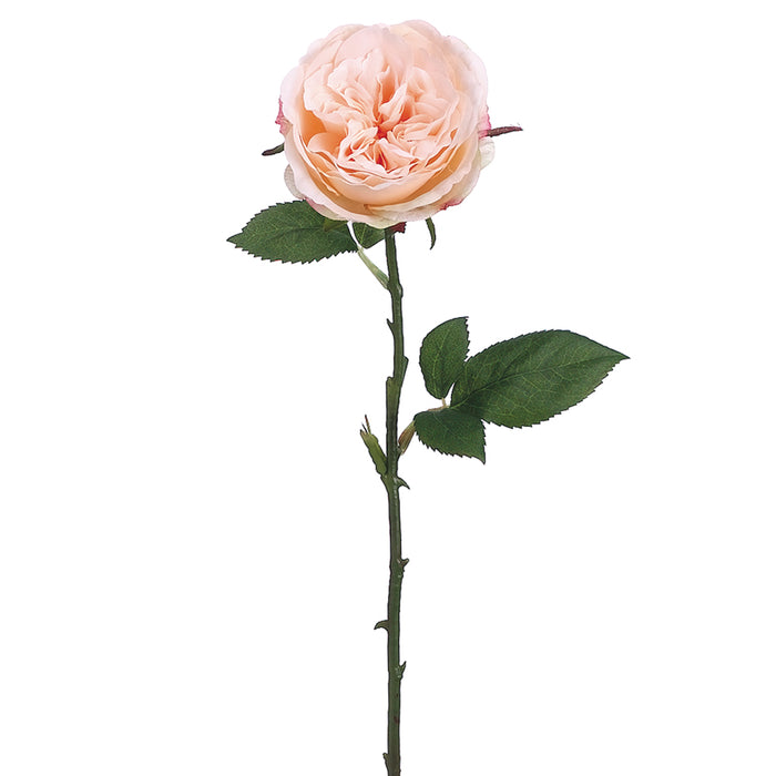 20.5" Silk Rose Flower Spray -Pastel Apricot (pack of 12) - FSR300-AP/PS