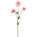 24" Ranunculus Silk Flower Stem -Pink/Peach (pack of 12) - FSR303-PK/PE