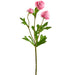 16.5" Mini Silk Ranunculus Flower Stem -Rose (pack of 12) - FSR319-RO
