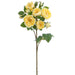 29.5" Rose Silk Flower Stem -Yellow (Pack of 12) - FSR355-YE