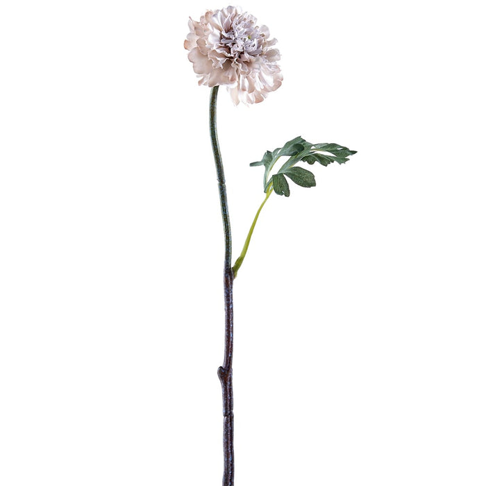17.75" Silk Ranunculus Flower Stem -Cream (pack of 12) - FSR371-CR