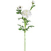 25" Silk Runanculus Flower Stem -Cream (pack of 12) - FSR401-CR