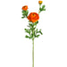 25" Silk Runanculus Flower Stem -Orange (pack of 12) - FSR401-OR