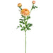 25" Silk Runanculus Flower Stem -Peach (pack of 12) - FSR401-PE