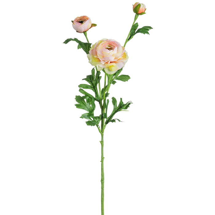 25" Silk Runanculus Flower Stem -Pink/Yellow (pack of 12) - FSR401-PK/YE