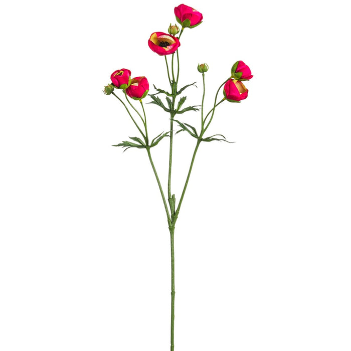 25" Silk Mini Runanculus Flower Stem -Beauty (pack of 12) - FSR411-BT