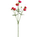 25" Silk Mini Runanculus Flower Stem -Beauty (pack of 12) - FSR411-BT