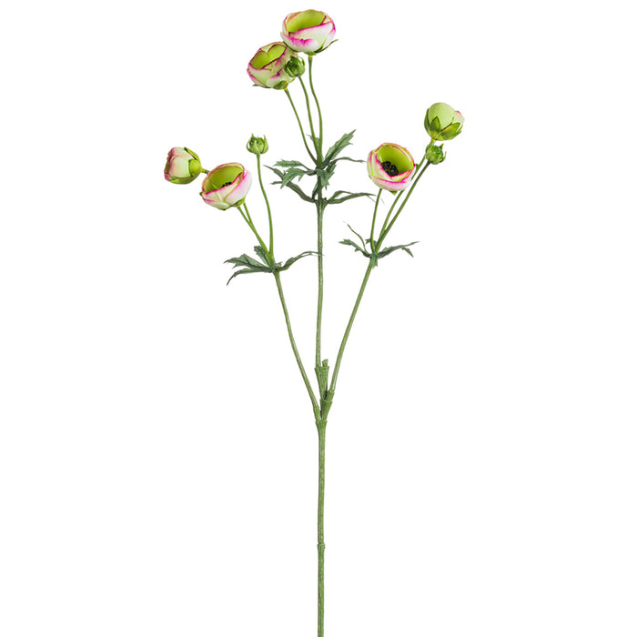 25" Silk Mini Runanculus Flower Stem -Purple/Green (pack of 12) - FSR411-PU/GR