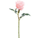 24.4" Rose Silk Flower Stem -Peach (Pack of 12) - FSR429-PE