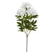 27" Rose Myrtle Silk Flower Stem -White (Pack of 12) - FSR443-WH