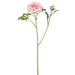28" Ranunculus Silk Flower Stem -Pink (Pack of 12) - FSR470-PK