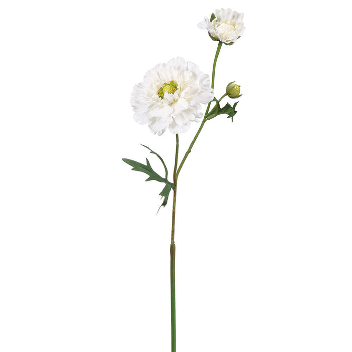22.4" Ranunculus Silk Flower Stem -Cream (pack of 12) - FSR475-CR