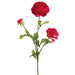 27" Silk Ranunculus Flower Spray -Beauty (pack of 12) - FSR502-BT