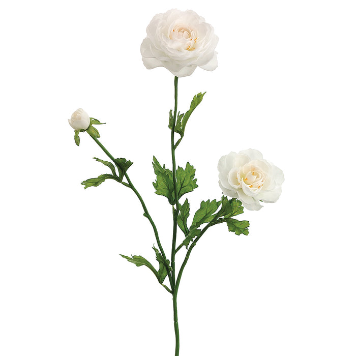 27" Silk Ranunculus Flower Spray -Cream (pack of 12) - FSR502-CR