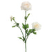 27" Silk Ranunculus Flower Spray -Cream (pack of 12) - FSR502-CR