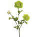 27" Silk Ranunculus Flower Spray -Green (pack of 12) - FSR502-GR