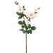 25.5" Rose Silk Flower Stem -Peach (Pack of 12) - FSR532-PE