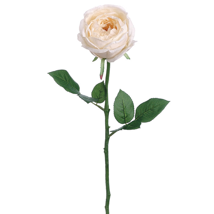 23" Silk Garden Cabbage Rose Flower Spray -Cream (pack of 12) - FSR564-CR