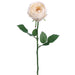 23" Silk Garden Cabbage Rose Flower Spray -Cream (pack of 12) - FSR564-CR