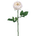 23" Silk Garden Cabbage Rose Flower Spray -White (pack of 12) - FSR564-WH