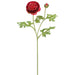 22" Real Touch Ranunculus Silk Flower Stem -Beauty (Pack of 12) - FSR620-BT