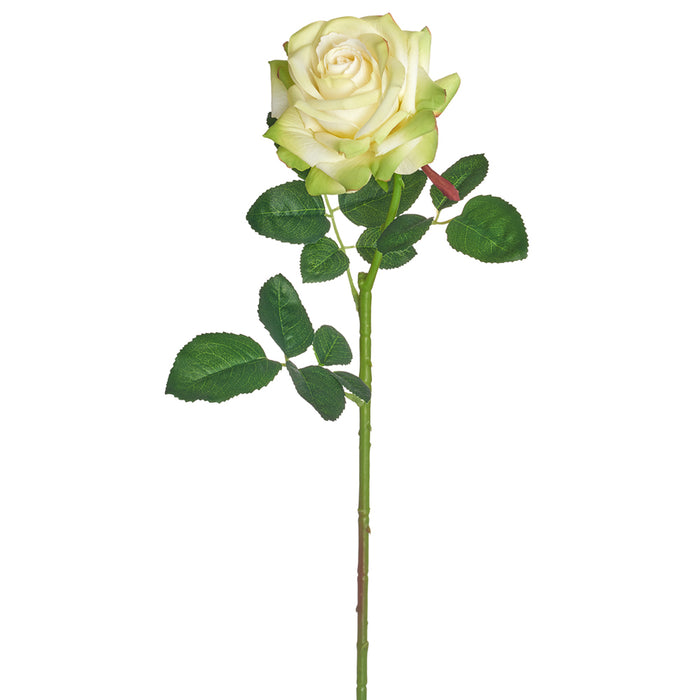 24.5" Rose Silk Flower Stem -Green (pack of 12) - FSR683-GR