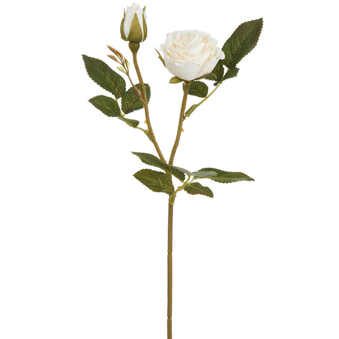 13.5" Rose Silk Flower Stem -Cream (pack of 12) - FSR691-CR