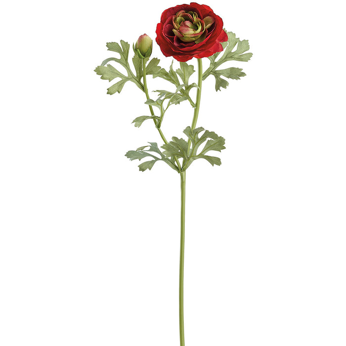 23" Ranunculus Silk Flower Stem -Red (Pack of 12) - FSR724-RE