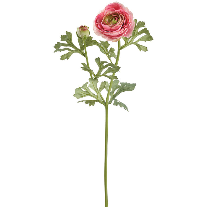 23" Ranunculus Silk Flower Stem -Rose (Pack of 12) - FSR724-RO