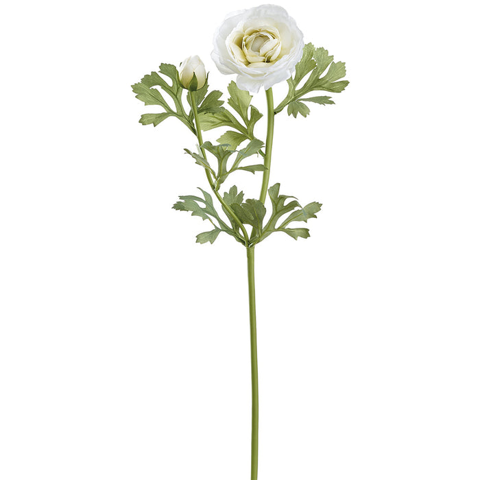 23" Ranunculus Silk Flower Stem -White (Pack of 12) - FSR724-WH
