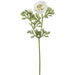 23" Ranunculus Silk Flower Stem -White (Pack of 12) - FSR724-WH