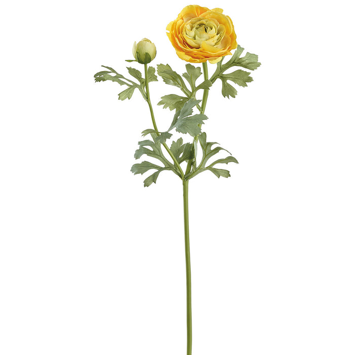 23" Ranunculus Silk Flower Stem -Yellow (Pack of 12) - FSR724-YE