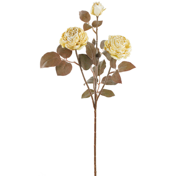 24" Rose Silk Flower Stem -Cream (Pack of 12) - FSR734-CR