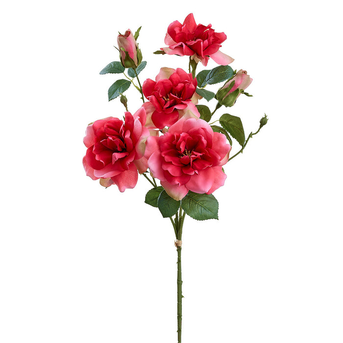 26.5" Rose Silk Flower Stem Bundle -Beauty (Pack of 8) - FSR736-BT