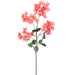 39" Bougainvillea Silk Flower Stem -Peach (pack of 12) - FSR740-PE