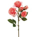 21.5" Rose Silk Flower Stem -Coral (pack of 24) - FSR804-CO