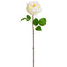 20" Silk Cabbage Rose Bud Flower Stem -Cream/Blush (pack of 12) - FSR839-CR/BS
